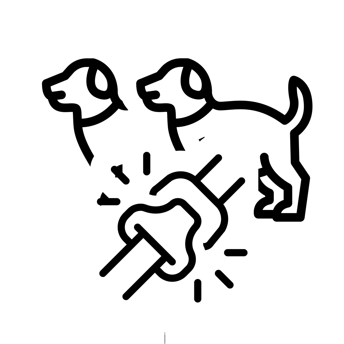 BOOT CONNECT LEASH 2